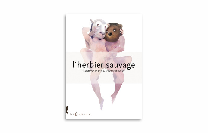 « L’Herbier sauvage », Vehlmann et Cruchaudet, Soleil, 136 pages.