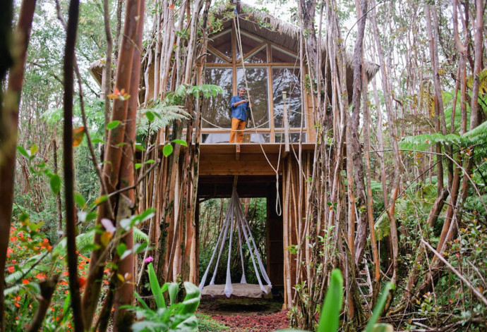 A tree house. Fern Forest, Hawaï, États-Unis
