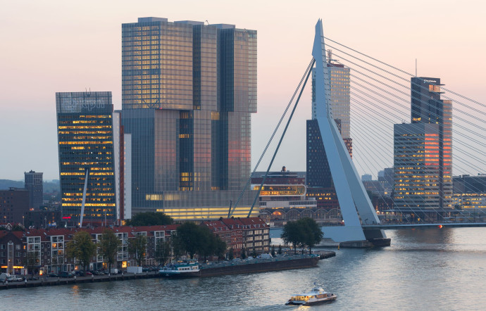 Rotterdam & Erasmusbrug.