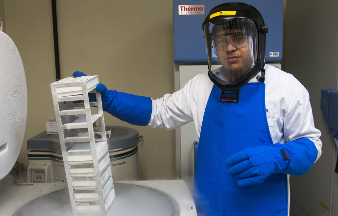 Dans le laboratoire cryogénique, la souche de levure est mieux gardée qu’un secret nucléaire.