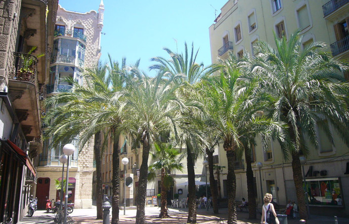 Plaça de Trilla, à Gràcia. Ce quartier est le QG professionnel de Ricardo Cavolo.