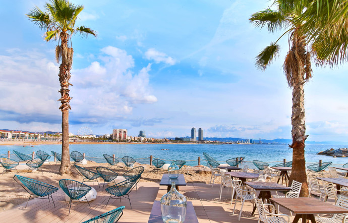 Le « Salt Beach Club Terrace » donne sur la plage, à l’ombre des palmiers.