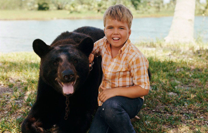 L’ours Monsieur Ben et le jeune Mark, interprété par Clint Howard, sont les principaux personnages de la série Mon ami Ben.