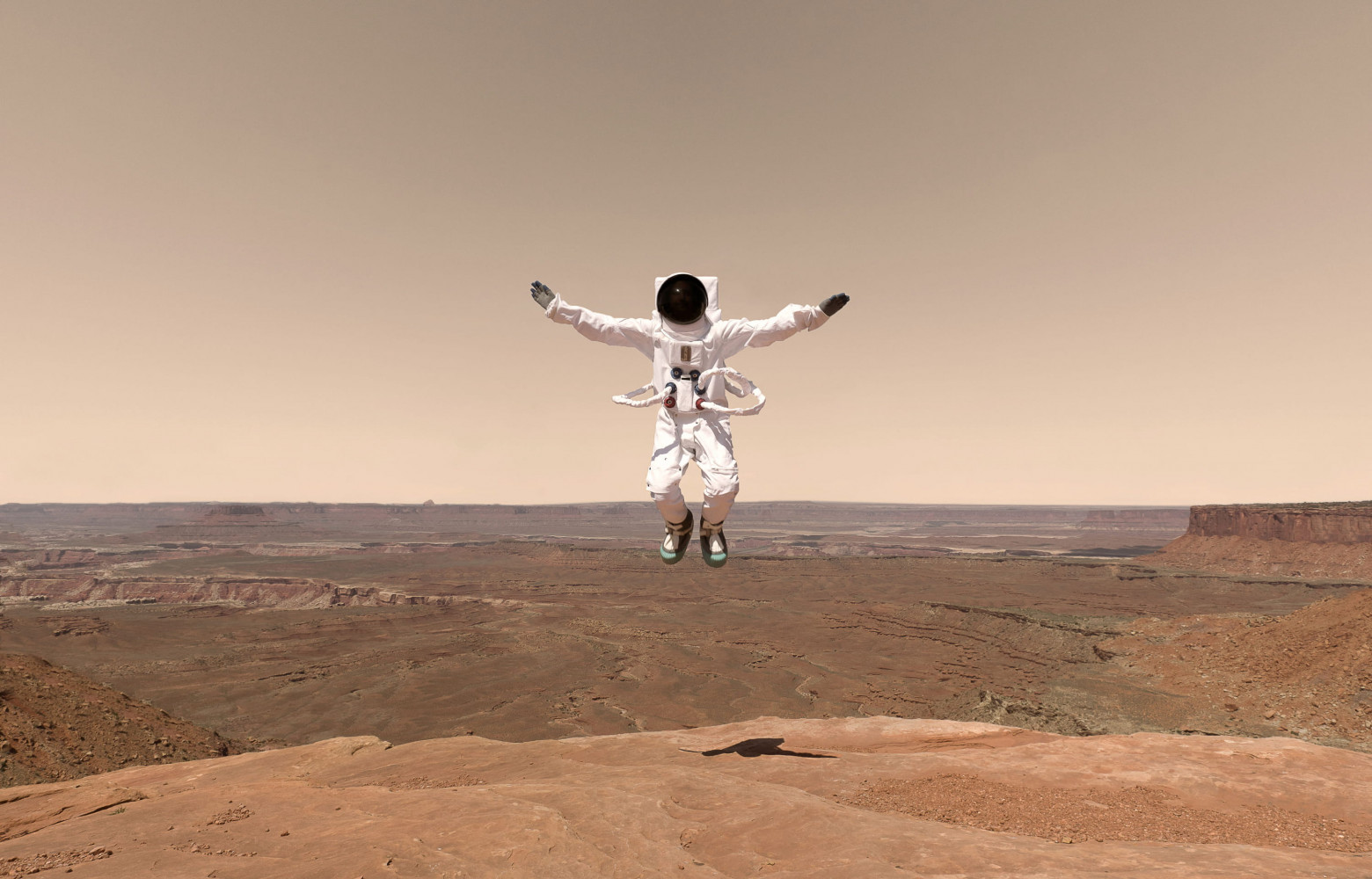 Greetings From Mars, de Julien Mauve.