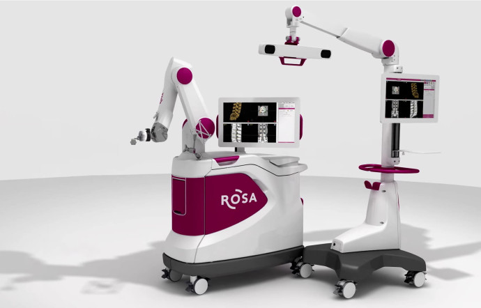 Le robot Rosa.