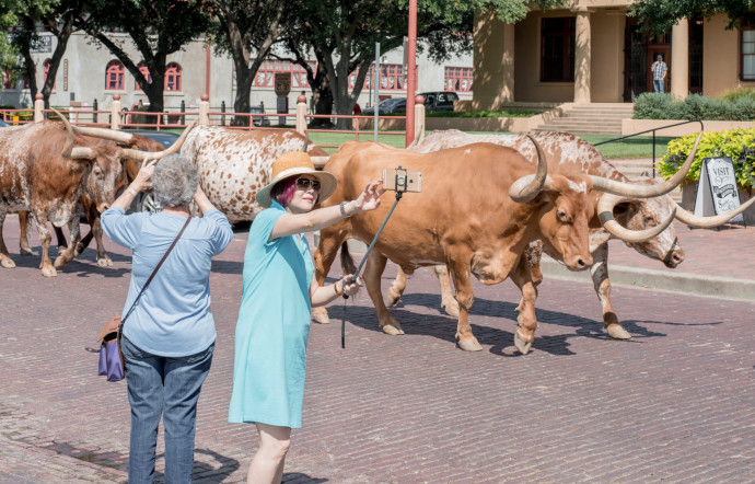 Stockyards est l’authentique quartier cow-boy de Fort Worth. En témoignent les boutiques, les saloons, les rodéos des vendredis et samedis soir, ainsi que les défilés quotidiens de Texas Longhorns, les vaches texanes à longues cornes. De nombreux touristes sont au rendez-vous.