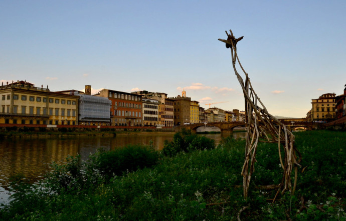 "Giraffa Carraia" de Il Sedicente Moradi, street artist à Florence.