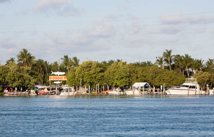 La marina Robbie’s et sa guinguette The Hungry Tarpon, à Islamorada, proposent aux touristes de nombreuses activités autour de la pêche.