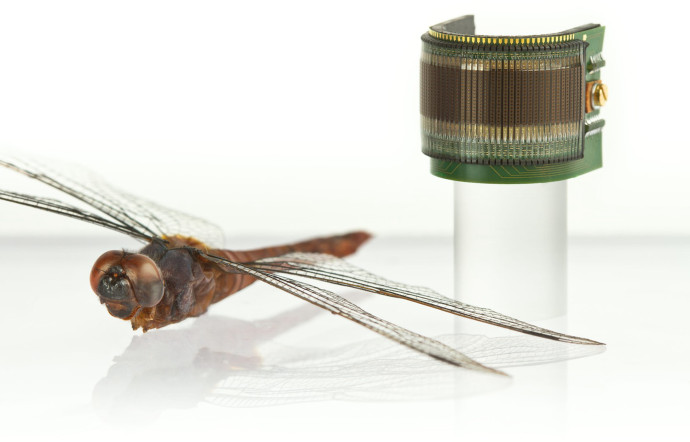 L’œil artificiel CurvACE imite celui, à facettes, de la mouche et de la libellule : vision à 180°, adaptation à la lumière, détection de mouvement. Il équipe le drone BeeRotor.