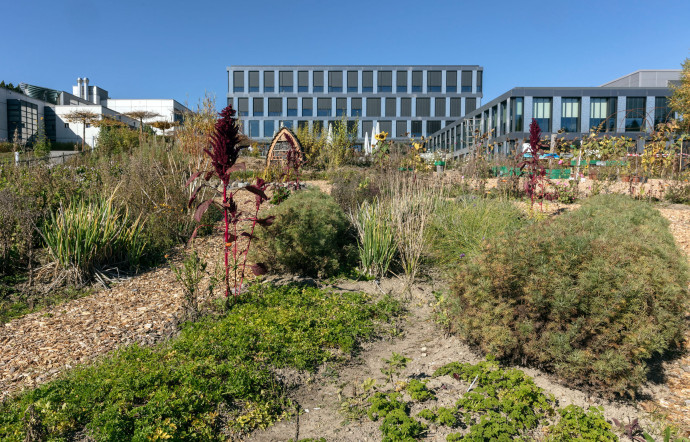 L’EHL dispose de son propre jardin potager, un jardin d’application géré en permaculture.