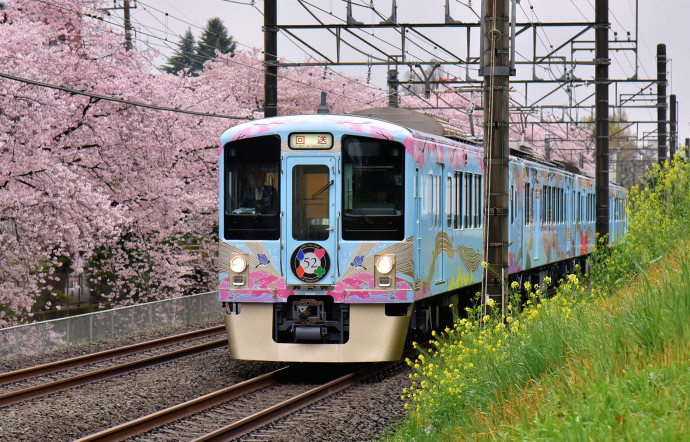 Pour rejoindre la paisible cité de Chichibu, on peut prendre le train gourmand 52 Seats of Happiness depuis Tokyo.