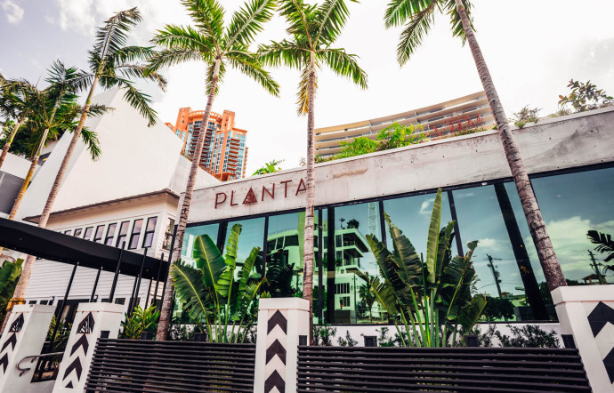 Miami : nos 4 tables favorites à South Beach - The Good Spots