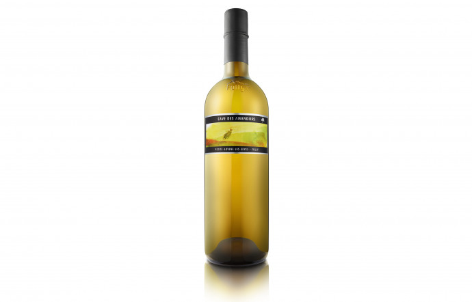 numerisation-tgl-38-fully-vin-suisse-vins-blancs-insert-05-arnaud-deletraz