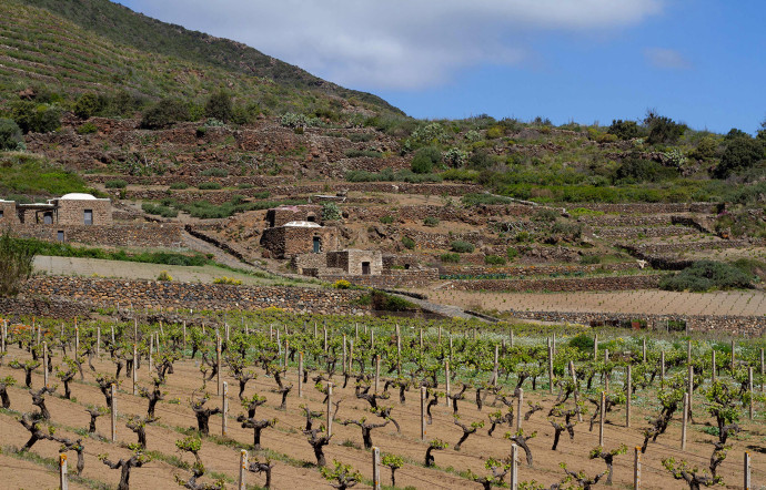 L’agriculture et le tourisme sont les principales activités de l’île, réputée notamment pour sa production de vin. Les nombreux murs de pierres permettent de contenir le terrain et de délimiter les propriétés.