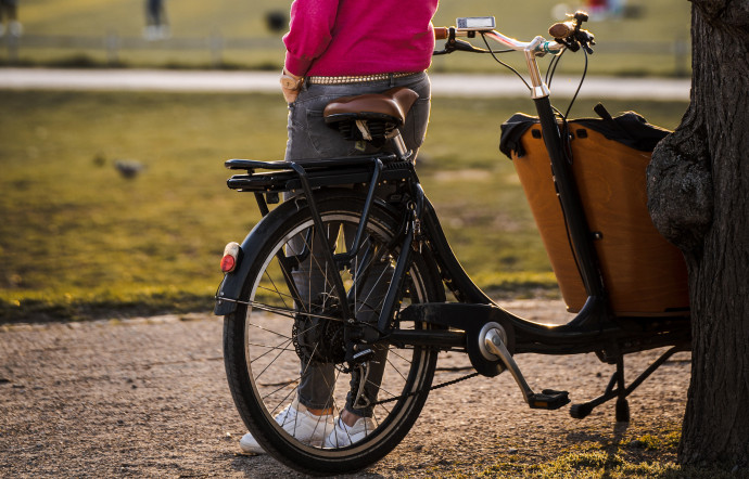Le vélo cargo rencontre le succès du public de plus en plus